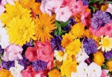 5 цветов, которые нельзя дарить любимым людям