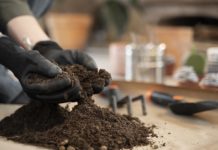 Право на добычу торфа в Шегарском районе выставили на торги за 1,1 млрд руб