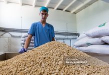 Томские производители начали прощупывать рынки Африки