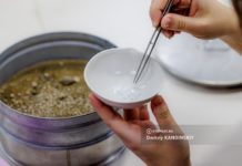 Томские ученые: в осах стало накапливаться больше микропластика