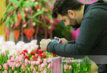 Целое море цветов: томичей приглашают на большую выставку тюльпанов