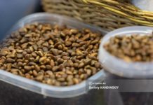 Пошлину на экспорт неочищенных кедровых орехов введут в России с августа 2024г