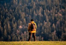 Отряд «Лиза Алерт» при поддержке «билайн» нашел 325 человек в Томской области