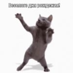 Смешные гифки с Днём Рождения