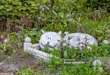 Томичам предлагают выбрать скверы, которые благоустроят в 2025г. Сделать это крайне сложно