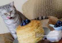 Масленица 2024: когда наступает, как принято отмечать, традиции праздника по дням недели