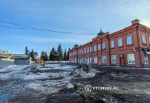 Мэрия пояснила, почему за павильонами на площади Ленина в Томске спилили все деревья