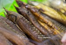 Фермерские мясо, рыбу, молочную и другую продукцию представят на ярмарке в Томске 30 марта