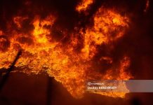 Квартира загорелась в многоэтажке в Томске. Из окна спасли 5 человек, погибли 11 кошек