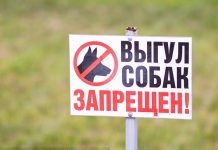 Томичу выписали штраф в 1 тыс руб за самовыгул собаки
