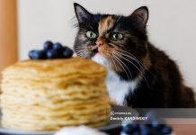 Стоимость продуктов для блинов в Томске выросла почти на 18%