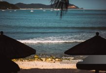 Чартеры из Томска в Турцию начнут летать в апреле