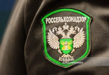 Почти 3 тонны масла-фальсификата поступило на прилавки Томской области