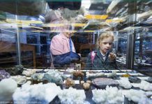 Томичи могут бесплатно посетить музеи 16-17 марта