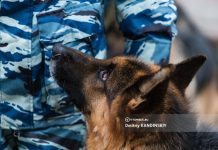 Волна сообщений о минировании вновь прошла по Томску