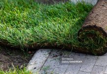 Голосование за благоустройство в Томской области пройдет в дни выборов президента