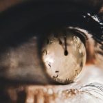 7 признаков того, что у Вселенной для вас есть особая миссия