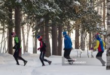 Статистика: как много жителей Томской области занимаются спортом?