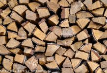 Жительницу Томской области подозревают в контрабанде древесины на 3,6 млн руб