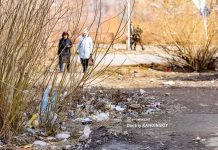 Более 150 кубометров мусора собрали томичи на общегородском субботнике