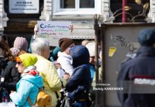 Зоозащитники Томска проведут пикет за гуманное обращение с животными