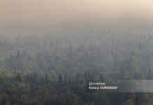 Пожароопасный сезон начался в лесах Томской области. За костры будут штрафовать