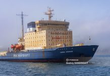 Томские ученые разработали экологичную краску для защиты кораблей от биообрастания