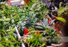 Сезонная ярмарка около «Буревестника» в Томске переедет на парковку гипермаркета «Лента»