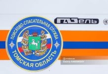 Спасатели помогли краснокнижной косуле, застрявшей в заборе на окраине Томска