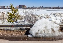 Уровень воды в Томи поднялся в черте Томска на 1 метр
