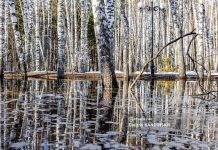 Жителям сел Томского района рекомендовали покинуть дома на ночь из-за угрозы подтопления