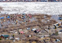 Уровень воды в Томи продолжает падать, в Оби — растет