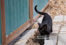 Какая погода будет в Томске и области в длинные выходные 28 апреля — 1 мая: прогноз