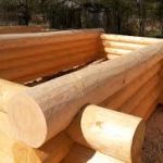 Какое бревно больше подходит для строительства дома?