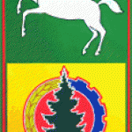 Асиновский район