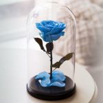 Роза в колбе