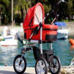 Инструкция для начинающих: как выбрать коляску