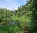 Ларинский ландшафтный заказник