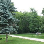 Университетская роща ТГУ